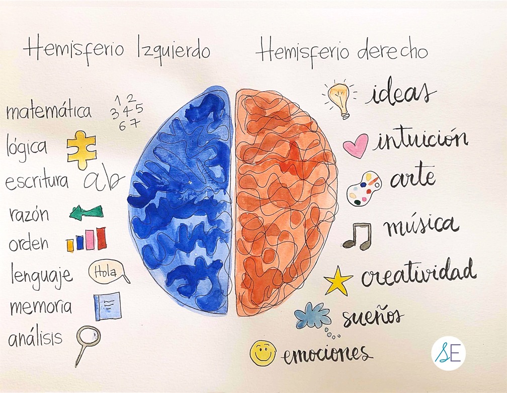 como se relaciona la imaginacion con el cerebro