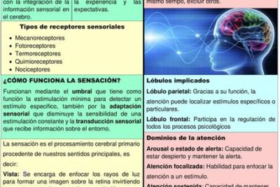 como se relaciona la percepcion con la atencion