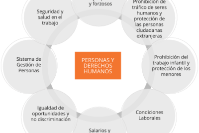 compromiso social definicion importancia y ejemplos clave