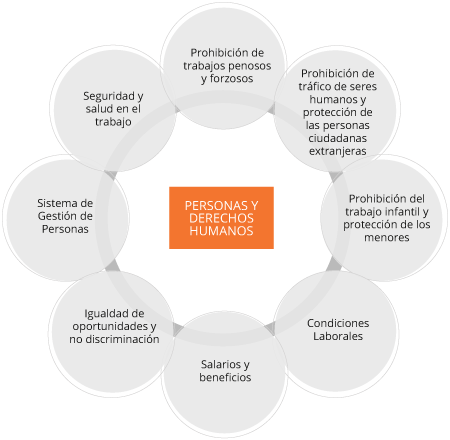 compromiso social definicion importancia y ejemplos clave