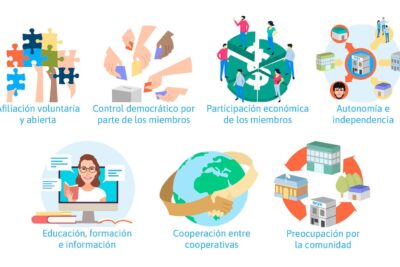 conducta cooperativa definicion y ejemplos relevantes