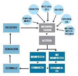 conflictos y su relacion con la funcion de la conducta