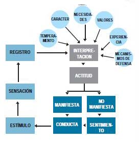 conflictos y su relacion con la funcion de la conducta