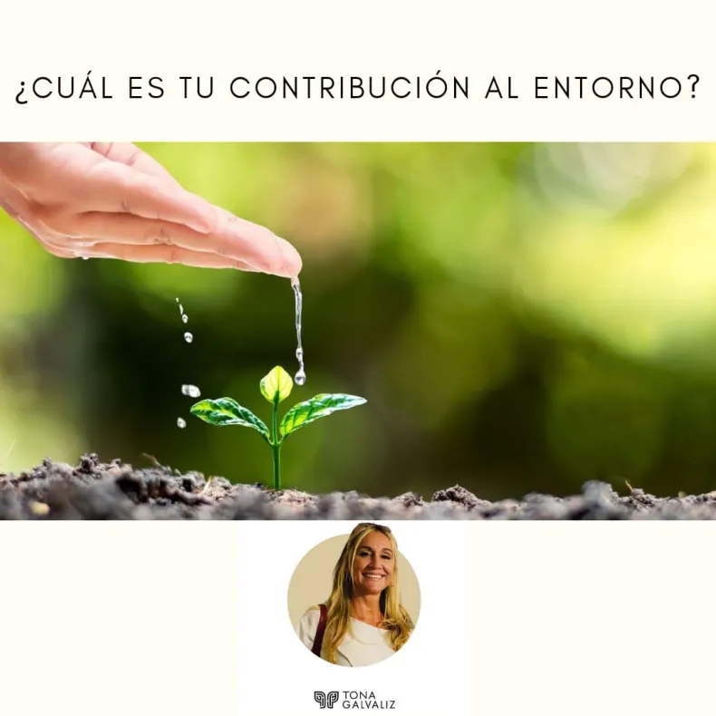 Construye un entorno positivo y influyente en tu vida diaria 1 construye un entorno positivo y influyente en tu vida diaria