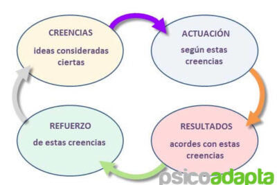 creencias que moldean nuestra percepcion de la realidad y otros