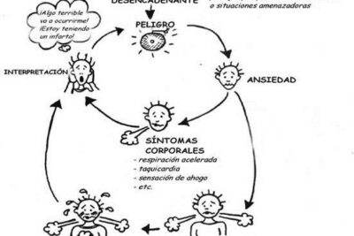 cual es el ciclo del estres en situaciones de crisis