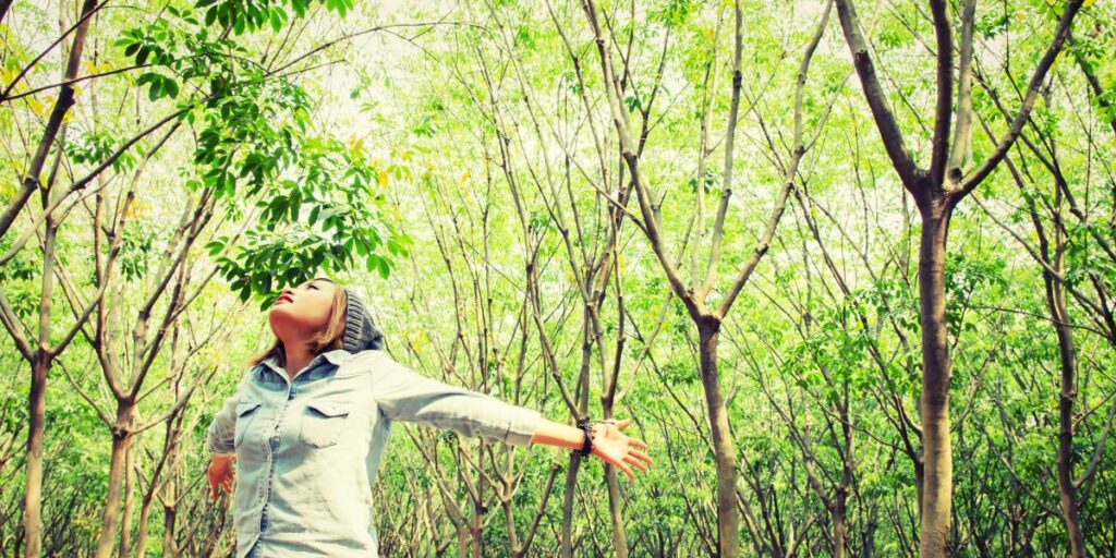 cual es la naturaleza de los suenos en la percepcion