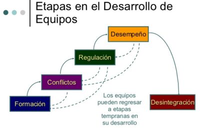 cuales son las etapas de desarrollo de un grupo