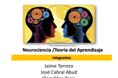 cuales son las teorias mas recientes en neurociencia