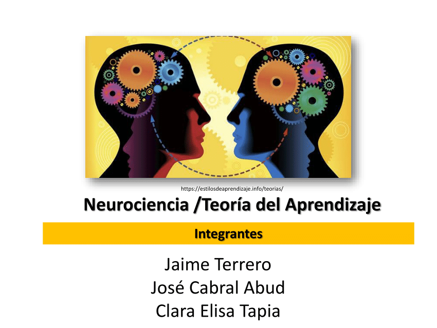 Cuáles son las teorías más recientes en neurociencia 1 cuales son las teorias mas recientes en neurociencia