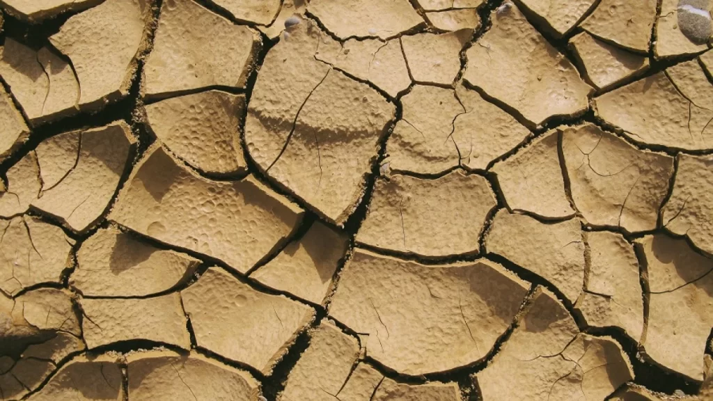 cuales son los efectos psicologicos del cambio climatico
