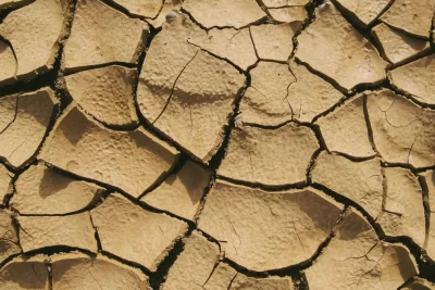 cuales son los efectos psicologicos del cambio climatico