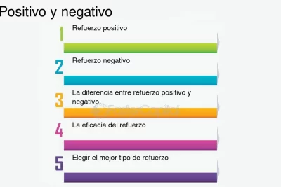 cuatro reglas del refuerzo efectivo en aprendizaje y comportamiento