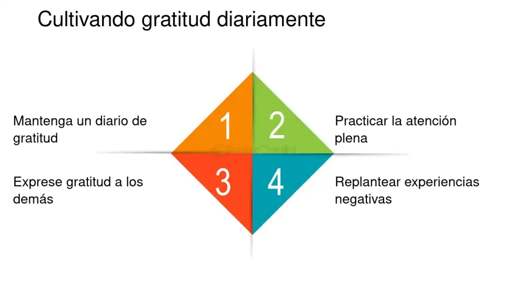 cultivando la gratitud diaria estrategias para transformar tu vida