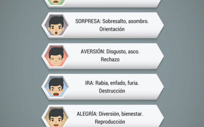 definicion y componentes esenciales de las emociones en exploracion