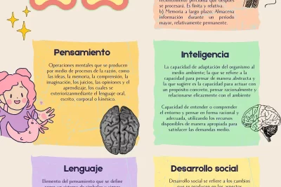 diferencias clave entre aprendizaje y memoria conceptos y ejemplos