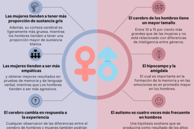 diferencias entre el cerebro masculino y femenino cuales son