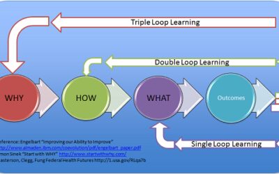 double loop learning definicion y aplicaciones practicas