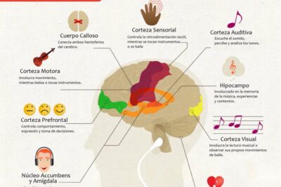 efecto de la musica en la memoria y el aprendizaje humano
