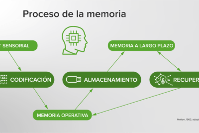el contexto en la formacion y recuperacion de la memoria