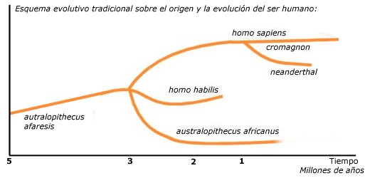 el hombre y el conflicto raices de la confrontacion humana