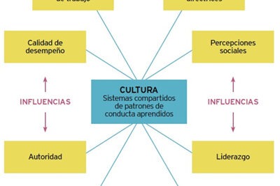 el impacto de las tendencias culturales en las actitudes