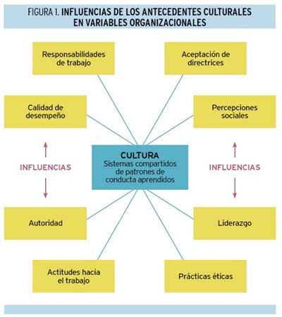 el impacto de las tendencias culturales en las actitudes