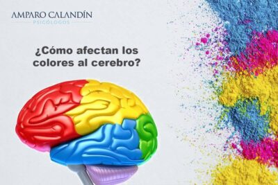 el impacto del color en nuestra percepcion y su efecto psicologico