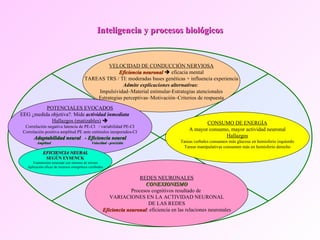 El papel de la experiencia diferencial en la influencia 1 el papel de la experiencia diferencial en la influencia