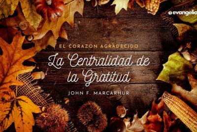 el papel de la gratitud en la influencia reformativa