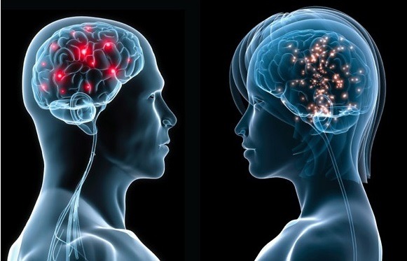 el papel de la neurociencia en la resolucion de conflictos