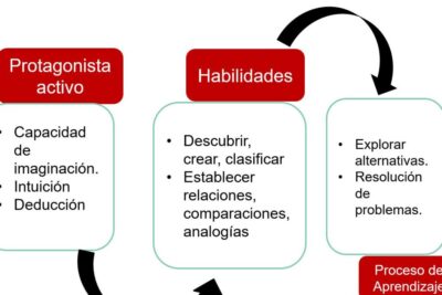 el papel de las recompensas en el aprendizaje conductual