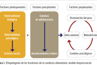 el papel del refuerzo en los trastornos alimentarios