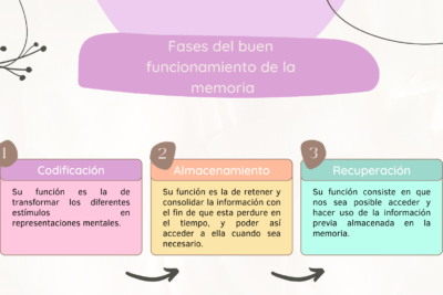 el papel del tiempo en la recuperacion de la memoria