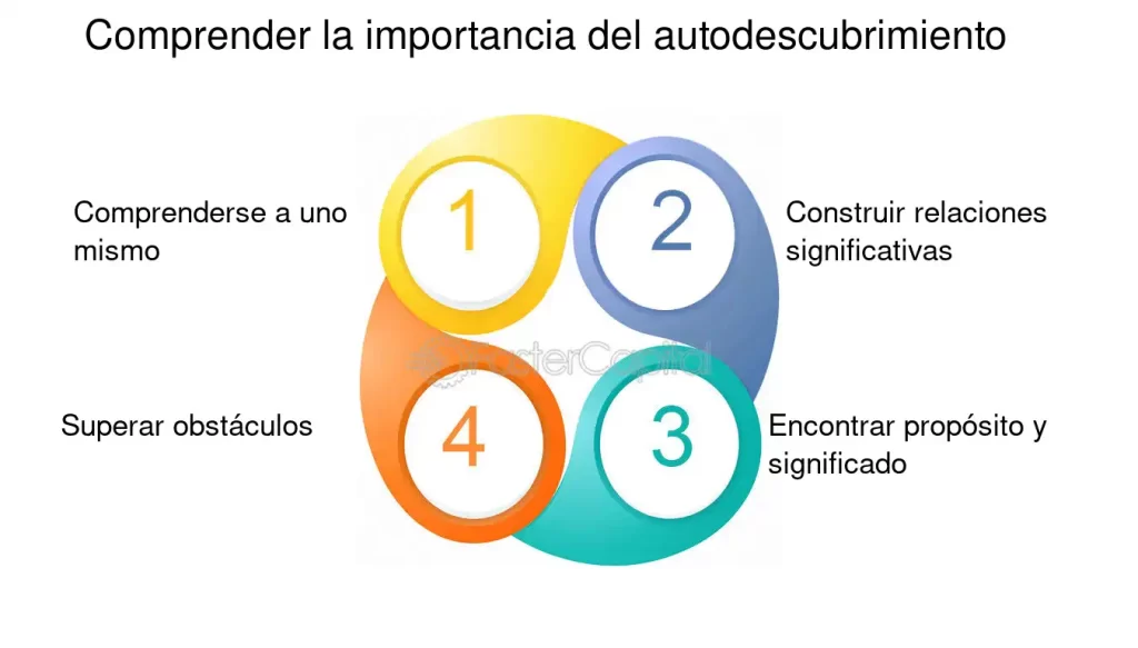 el viaje de autodescubrimiento explorando la personalidad