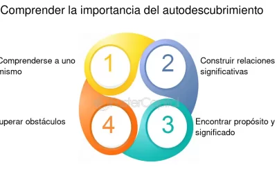 el viaje de autodescubrimiento explorando la personalidad