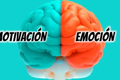emocion y motivacion la clave del comportamiento humano