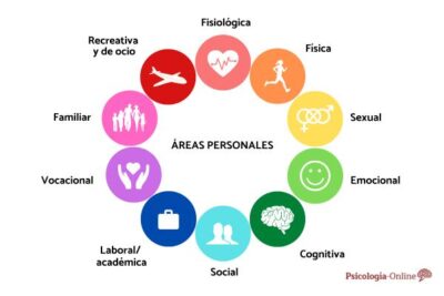 en que areas de la vida influye la personalidad