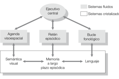 estudio de casos en memoria lecciones y aprendizajes clave