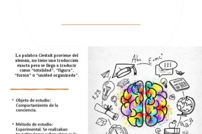 estudio de la percepcion en la investigacion psicologica