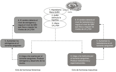 estudio reciente sobre la personalidad en jovenes hallazgos clave