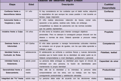 evolucion de actitudes en la edad adulta un analisis reflexivo