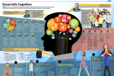 evolucion de las capacidades cognitivas a lo largo de la vida