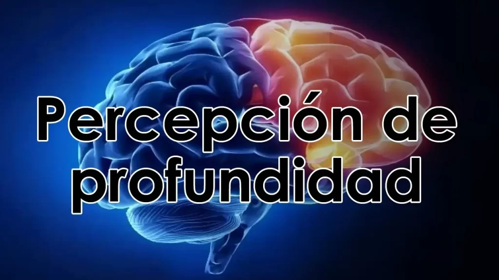 explorando la profundidad de la personalidad y las emociones