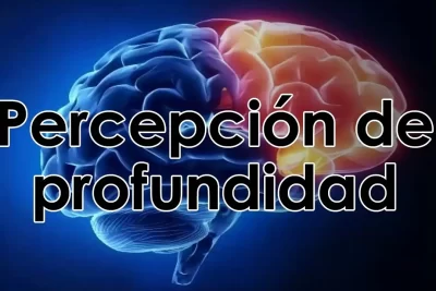 explorando la profundidad de la personalidad y las emociones