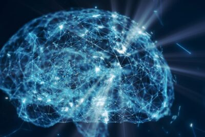 formacion de la memoria humana un proceso fascinante y complejo