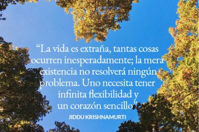frases motivacionales transforma tu perspectiva y tu vida