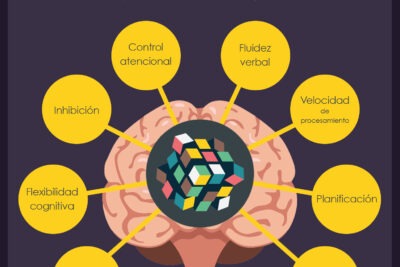 funciones ejecutivas en la mente humana lo que necesitas saber