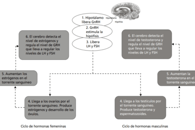 impacto de cambios sociales en la percepcion de la personalidad