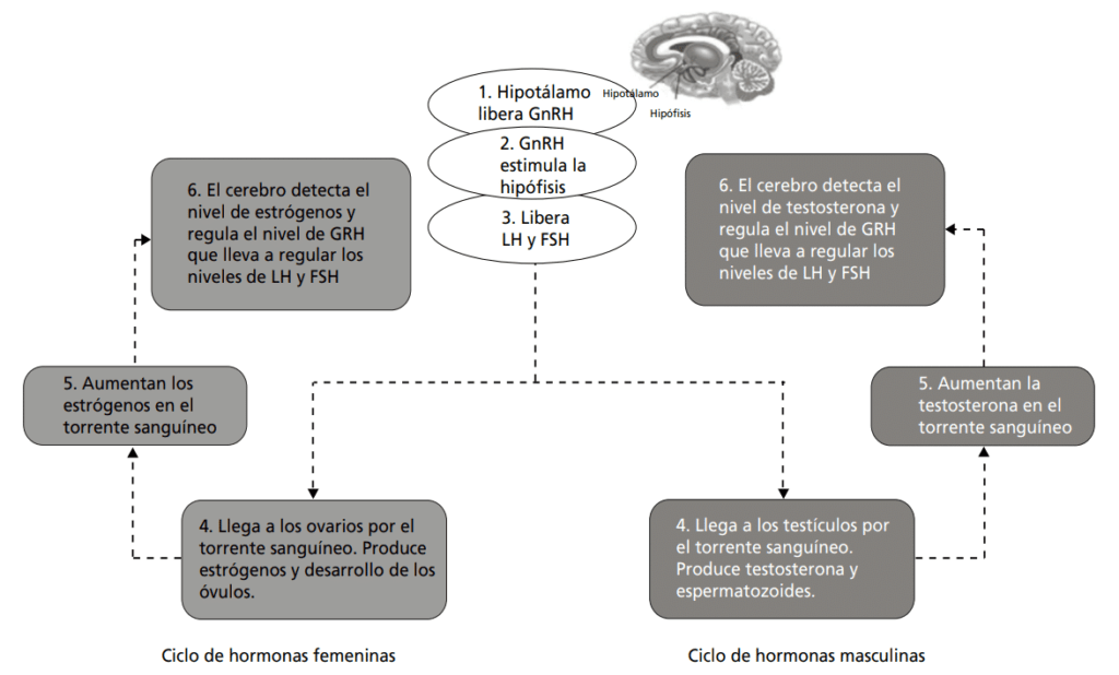 Impacto de cambios sociales en la percepción de la personalidad 1 impacto de cambios sociales en la percepcion de la personalidad